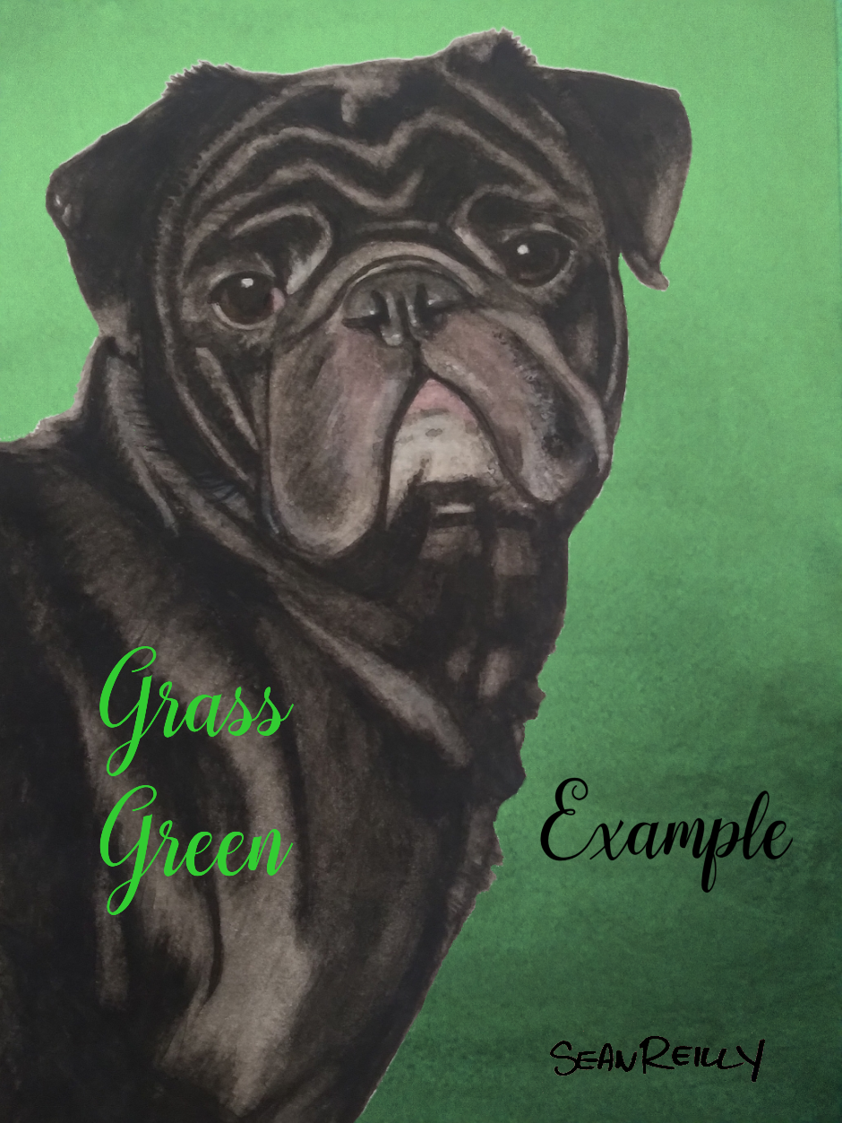 11"x14" ( ONE PET) Custom Painting
