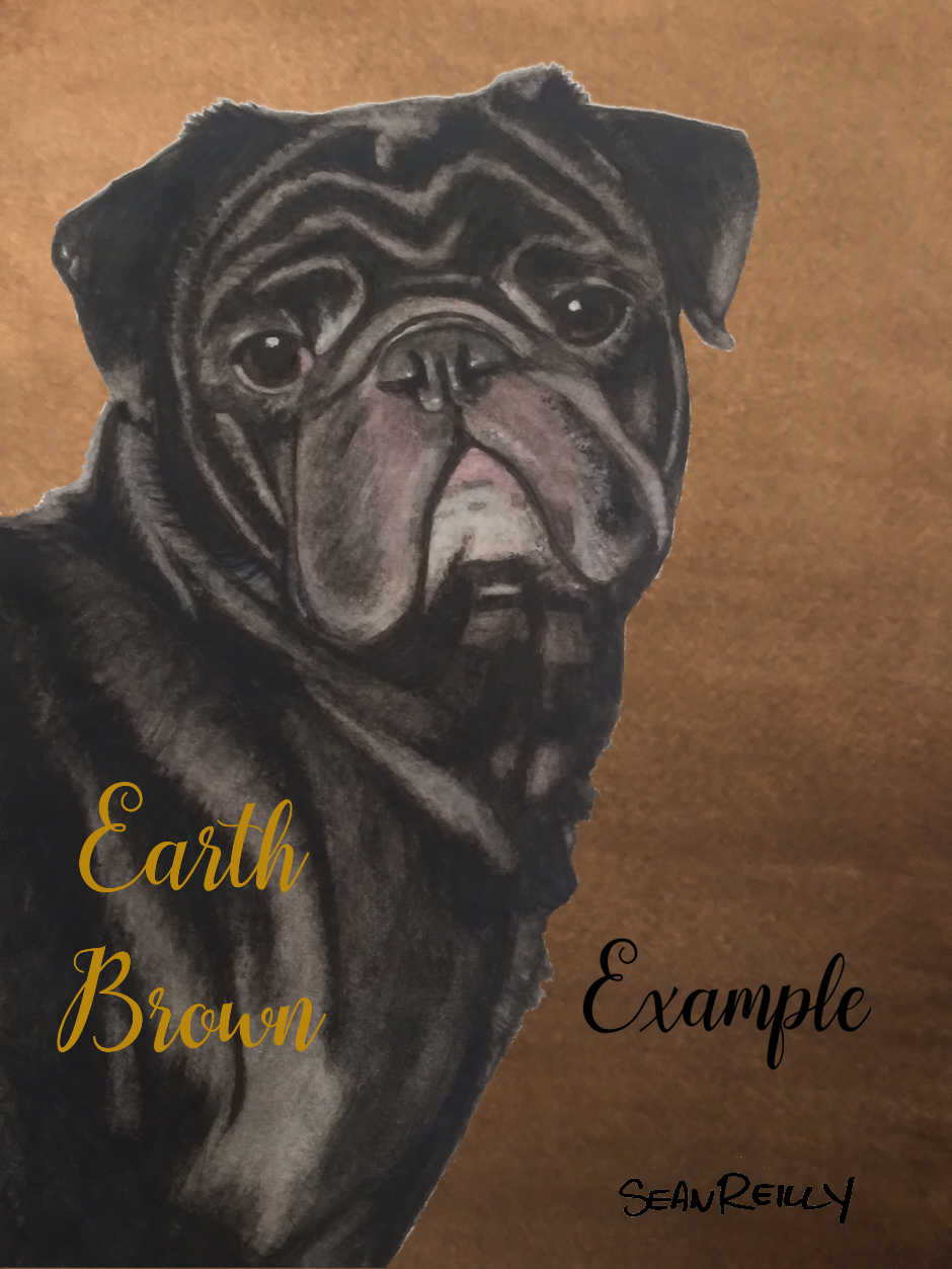 11"x14" ( TWO PET ONLY) Custom Painting