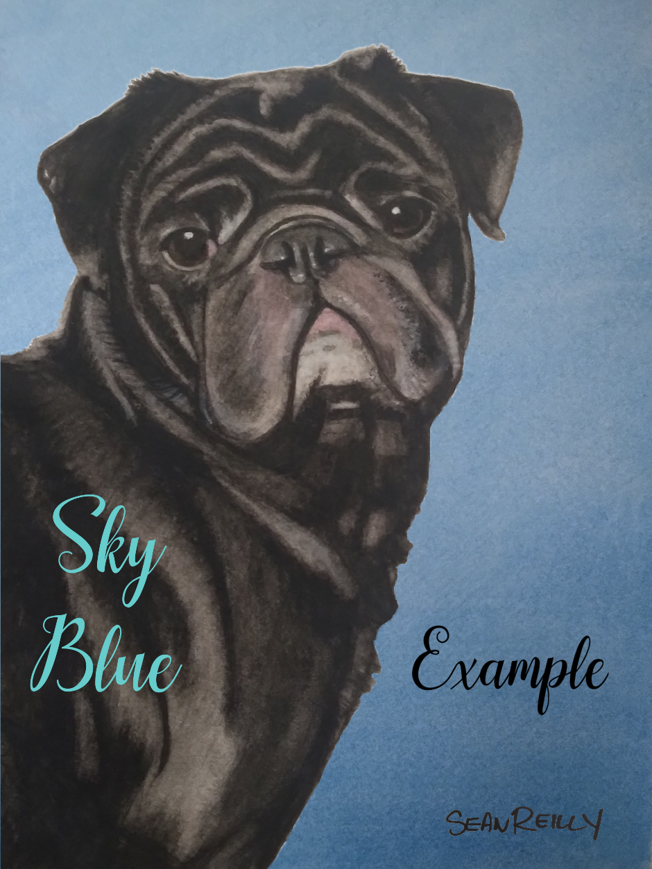 11"x14" ( TWO PET ONLY) Custom Painting