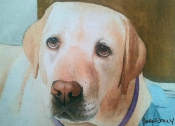 Custom (5" x 7") Pack of 10 Folded Cards (white envelopes) Yellow Labrador. Personalized Pet Name; Pet Breed; or Personal Greeting.