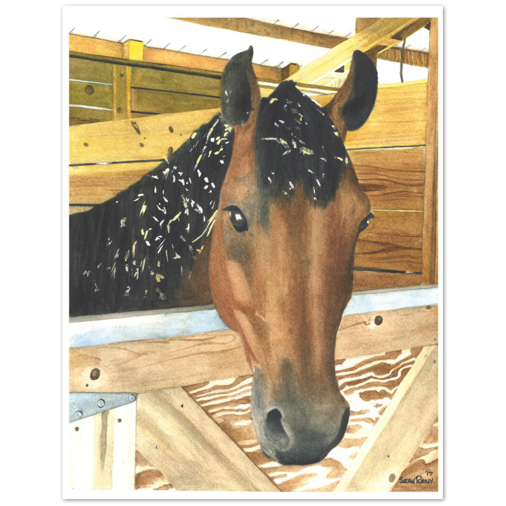 Premium Matte Print (Cedar Chip Horse)