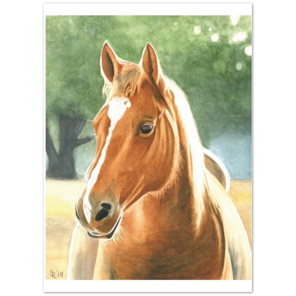 Premium Matte Print (Horse at Dawn)