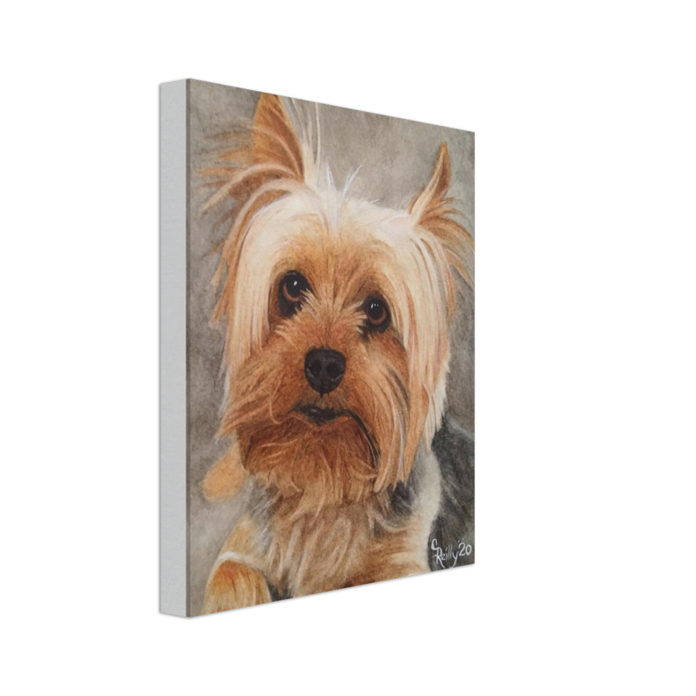 Custom Canvas Print (YorkyFace)