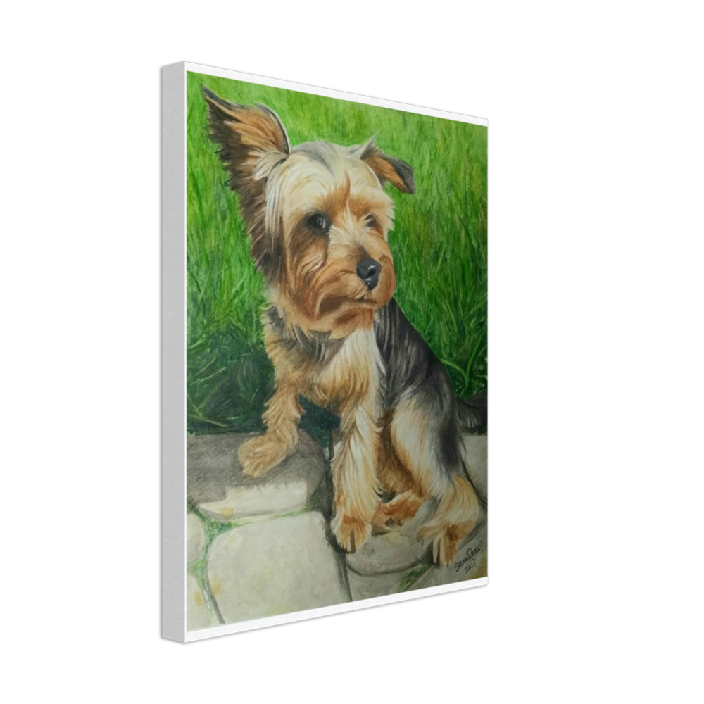 Custom Canvas Print (Ozzy)