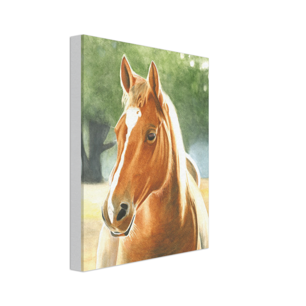 Custom Canvas Print (Horse at Dawn)