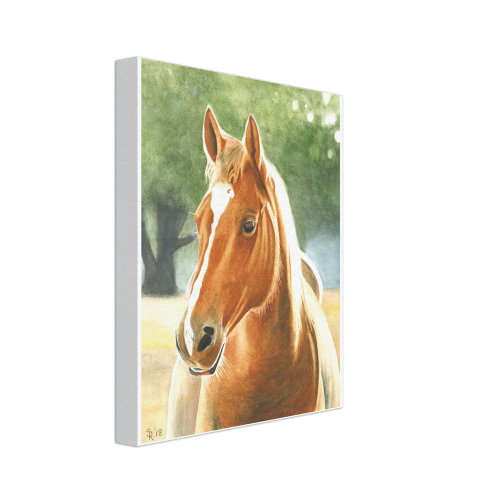 Custom Canvas Print (Horse at Dawn)