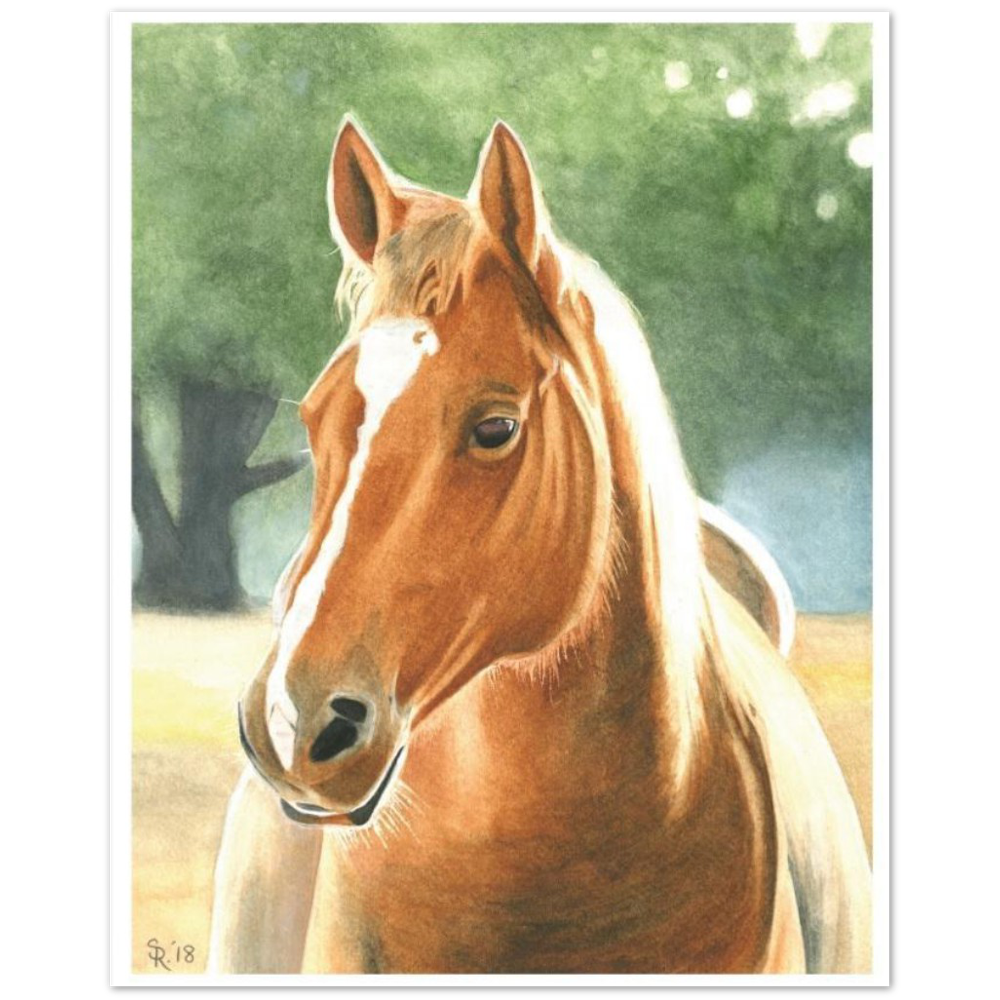 Premium Matte Print (Horse at Dawn)