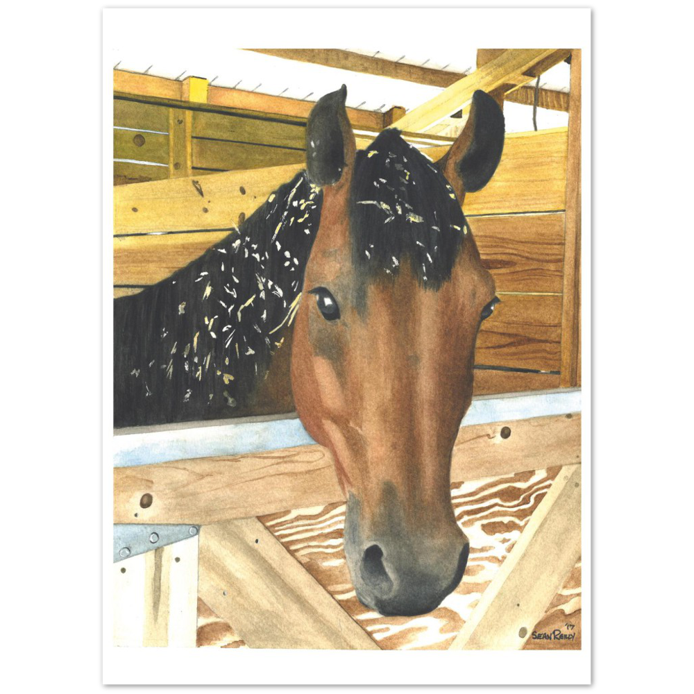 Premium Matte Print (Cedar Chip Horse)