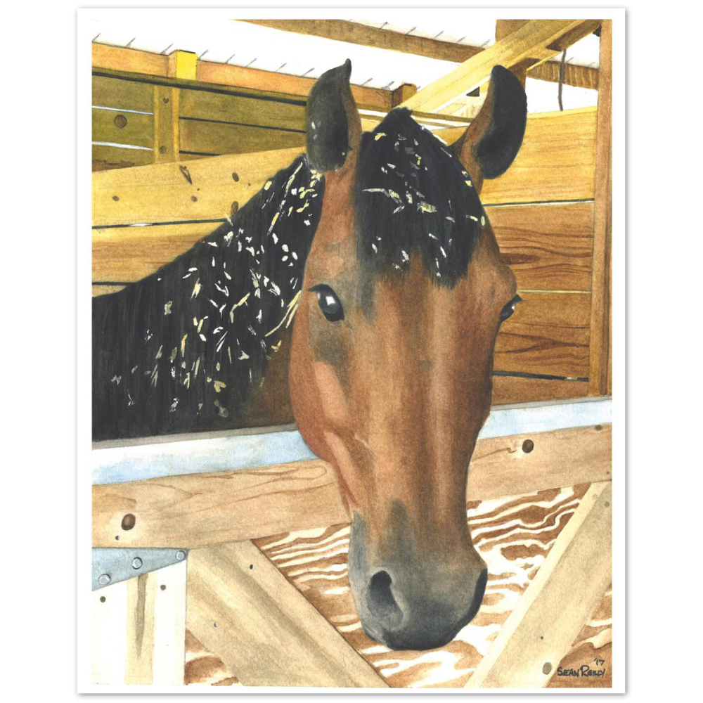 Premium Matte Print (Cedar Chip Horse)