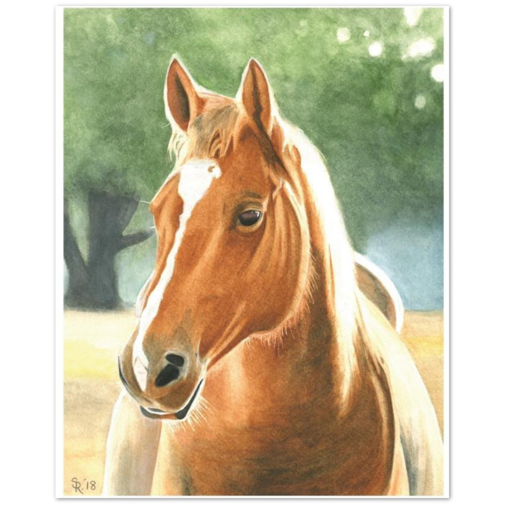 Premium Matte Print (Horse at Dawn)