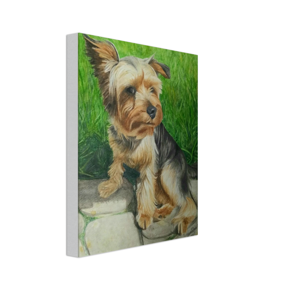 Custom Canvas Print (Ozzy)
