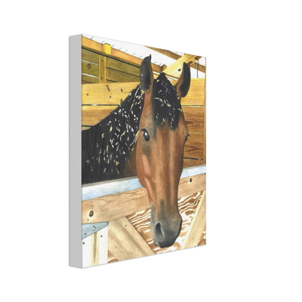 Custom Canvas Print (Cedar Chip Horse)