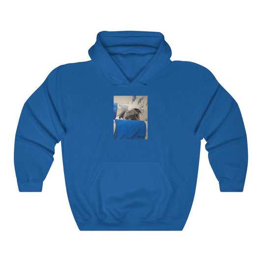 Custom Hoodie (Armchair Pug)