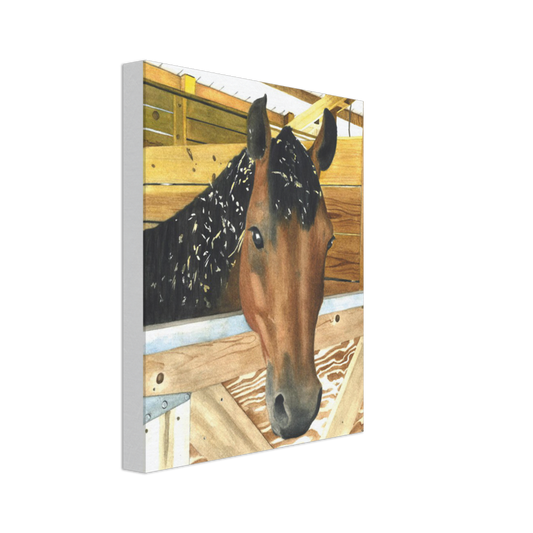 Custom Canvas Print (Cedar Chip Horse)