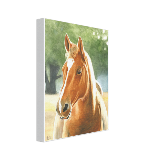 Custom Canvas Print (Horse at Dawn)