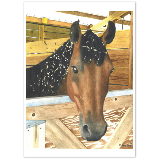 Premium Matte Print (Cedar Chip Horse)