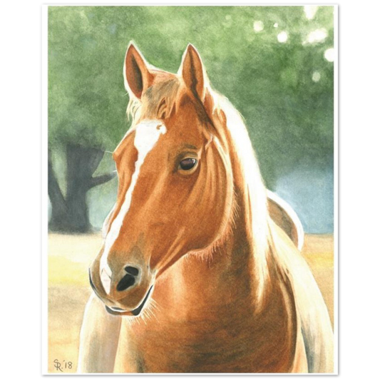 Premium Matte Print (Horse at Dawn)