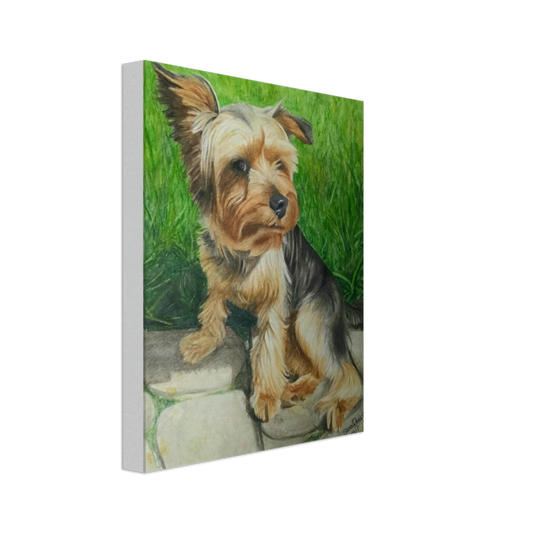 Custom Canvas Print (Ozzy)